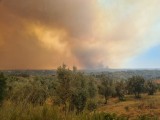 Wildfire Portugal. ©Sonny Plasschaert
